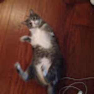 Meet your Posher, Chris